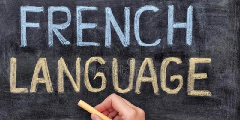 How-to-Build-a-Successful-Career-with-French-Language-Skills-.